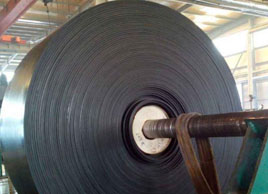 耐高溫尼龍皮帶