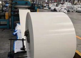 NN150白色輸送帶