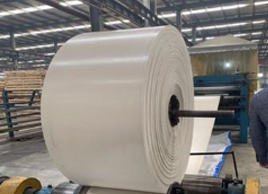 EP200白色輸送帶