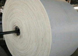 EP100白色輸送帶