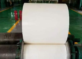 NN200白色輸送帶