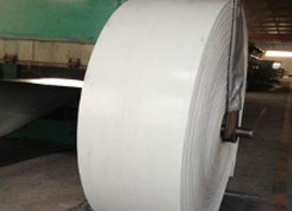 大傾角白色輸送帶