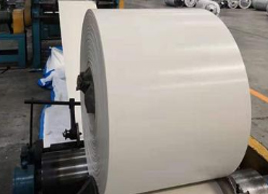 擋邊白色輸送帶