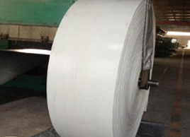 白色花紋輸送帶