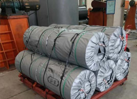 鬥提機鋼絲繩提升帶